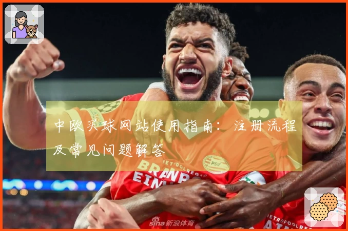 中欧买球网站使用指南：注册流程及常见问题解答