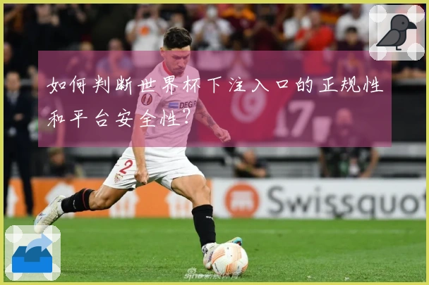 如何判断世界杯下注入口的正规性和平台安全性？