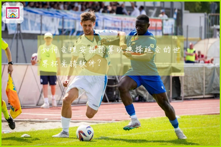 如何合理安排预算以选择适合的世界杯竞猜软件？