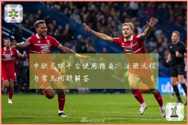 中欧买球平台使用指南：注册流程与常见问题解答
