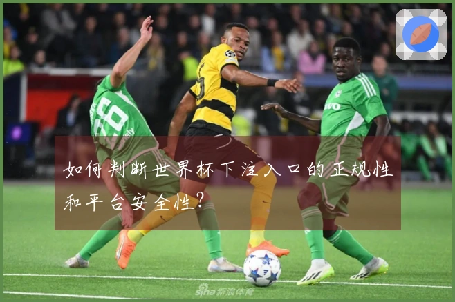 如何判断世界杯下注入口的正规性和平台安全性？