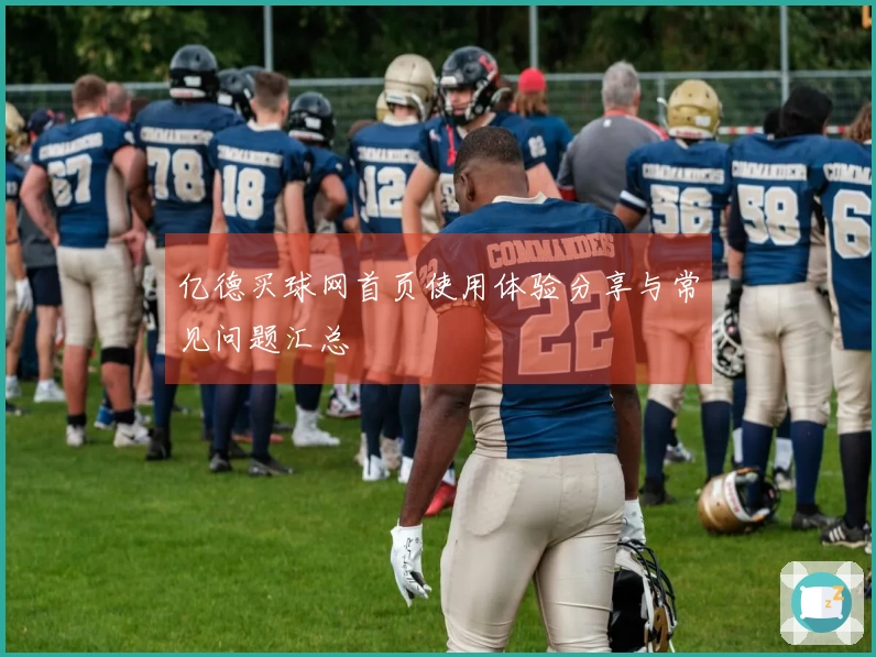 亿德买球网首页使用体验分享与常见问题汇总