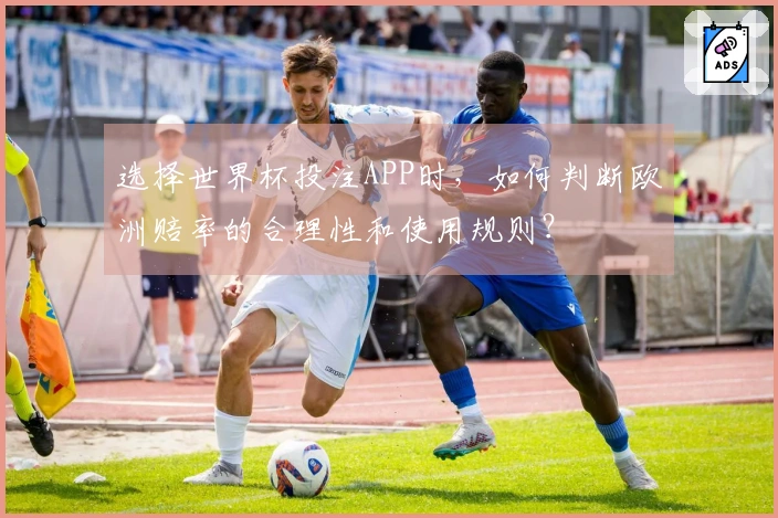选择世界杯投注APP时，如何判断欧洲赔率的合理性和使用规则？
