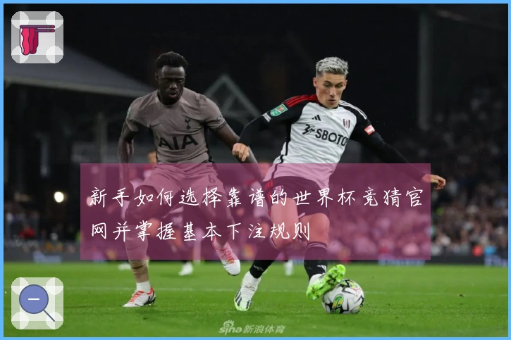 新手如何选择靠谱的世界杯竞猜官网并掌握基本下注规则