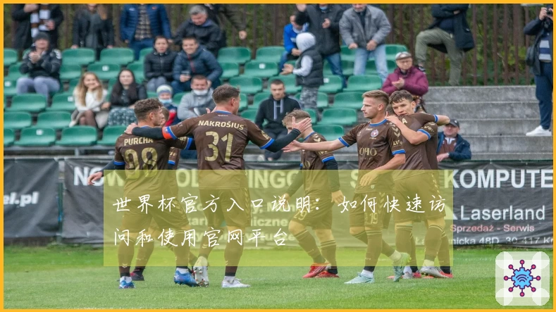 世界杯官方入口说明：如何快速访问和使用官网平台