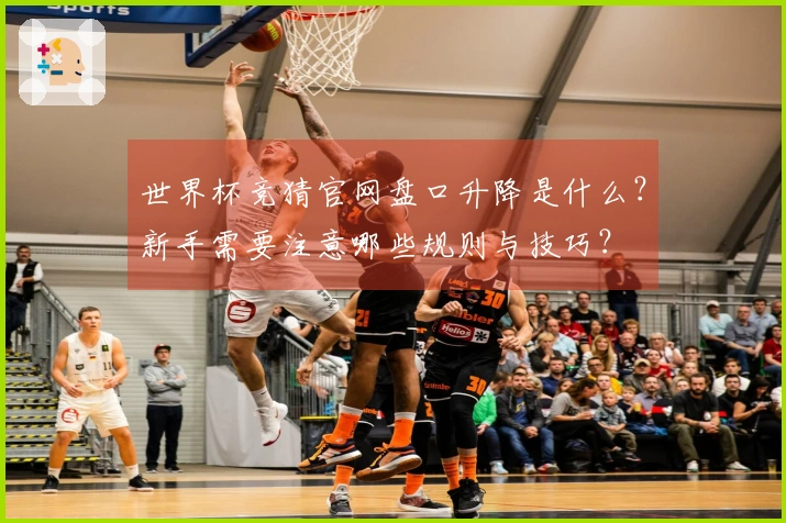 世界杯竞猜官网盘口升降是什么？新手需要注意哪些规则与技巧？