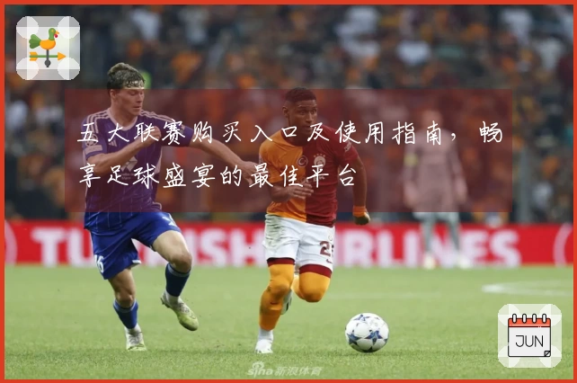 五大联赛购买入口及使用指南,畅享足球盛宴的最佳平台