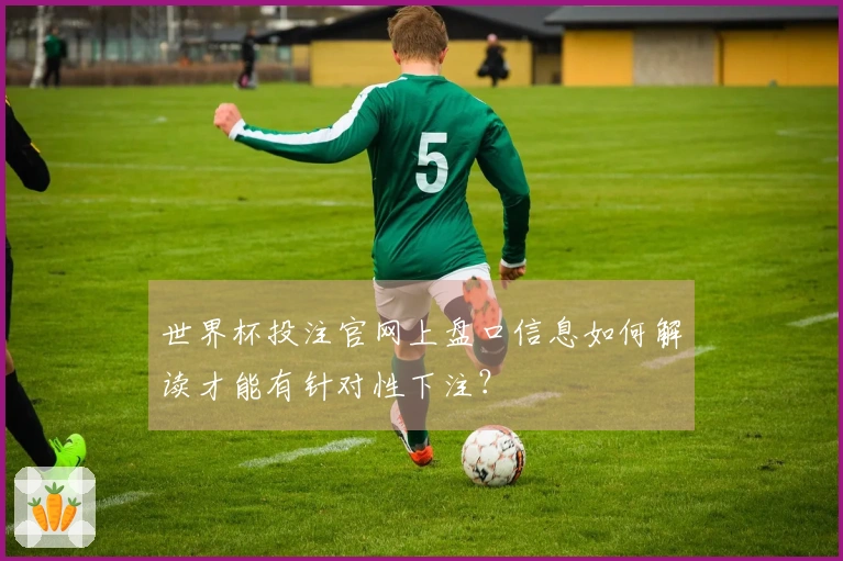 世界杯投注官网上盘口信息如何解读才能有针对性下注？