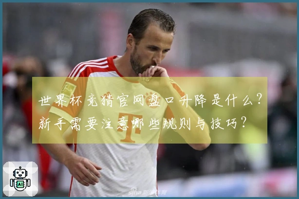 世界杯竞猜官网盘口升降是什么？新手需要注意哪些规则与技巧？