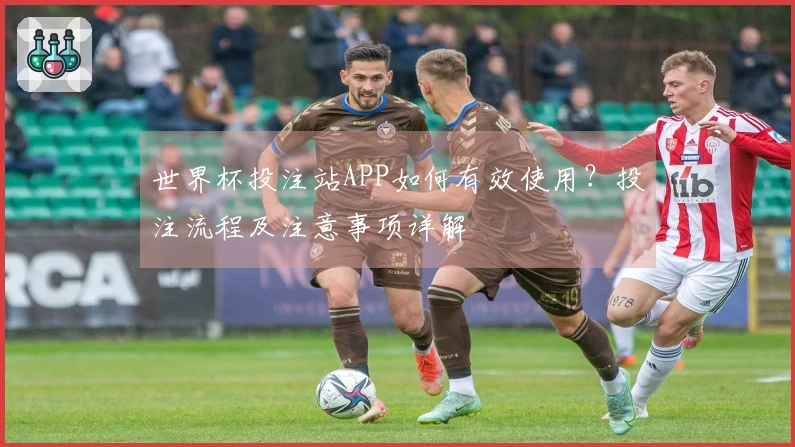 世界杯投注站APP如何有效使用？投注流程及注意事项详解
