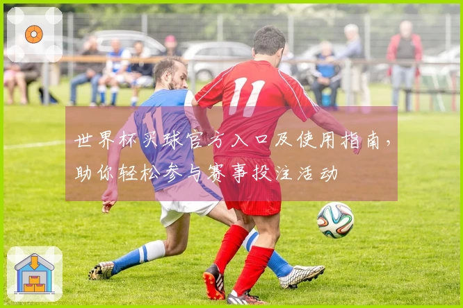 世界杯买球官方入口及使用指南，助你轻松参与赛事投注活动