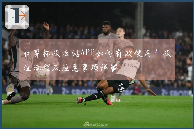 世界杯投注站APP如何有效使用？投注流程及注意事项详解