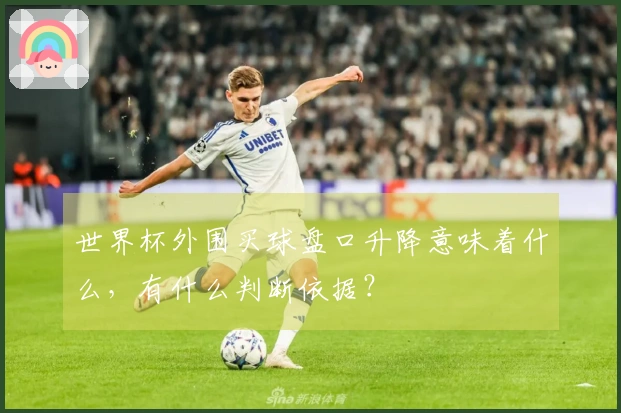世界杯外围买球盘口升降意味着什么，有什么判断依据？