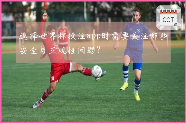 选择世界杯投注app时需要关注哪些安全与正规性问题？