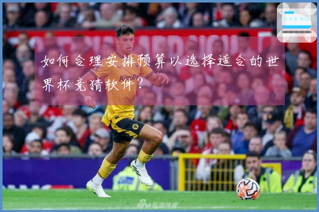 如何合理安排预算以选择适合的世界杯竞猜软件？