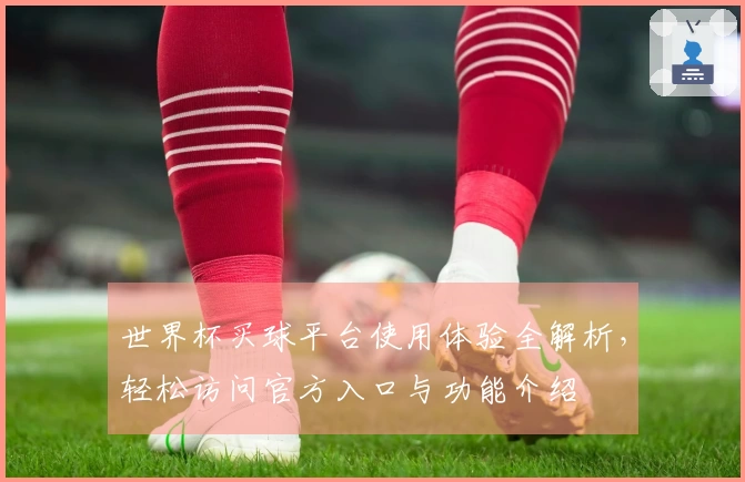 世界杯买球平台使用体验全解析，轻松访问官方入口与功能介绍