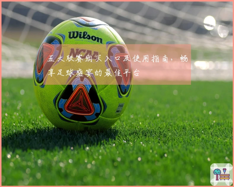 五大联赛购买入口及使用指南，畅享足球盛宴的最佳平台