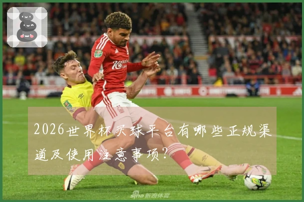 2026世界杯买球平台有哪些正规渠道及使用注意事项？