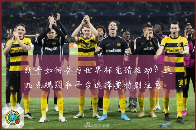 新手如何参与世界杯竞猜活动？这几点规则和平台选择要特别注意