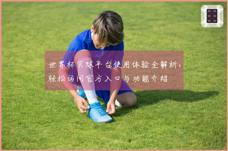 世界杯买球平台使用体验全解析，轻松访问官方入口与功能介绍
