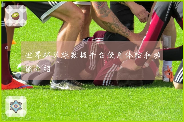 世界杯买球数据平台使用体验和功能介绍